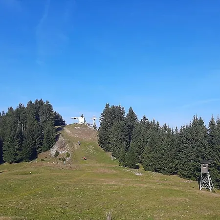 Apartment Golte Tibona Mozirje