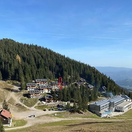 Golte Tibona *