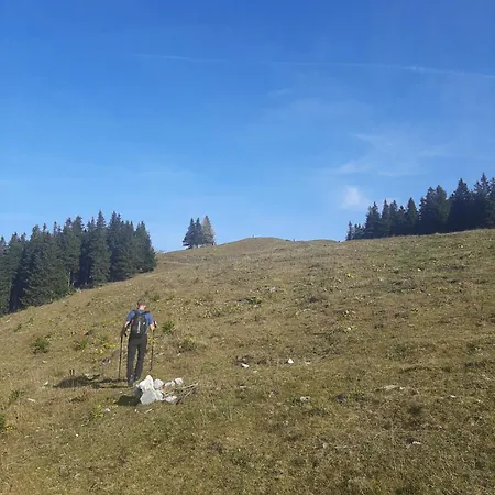 Golte Tibona Mozirje