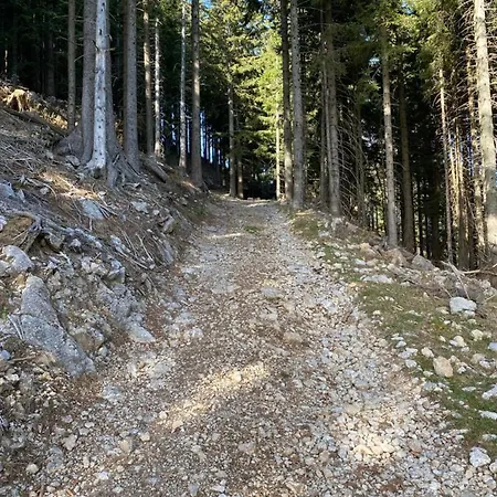 Golte Tibona Daire Mozirje