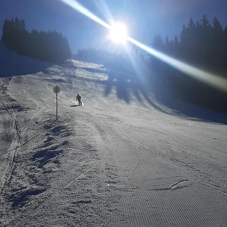 Daire Golte Tibona *