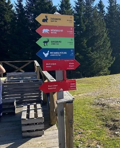 Golte Tibona * Mozirje