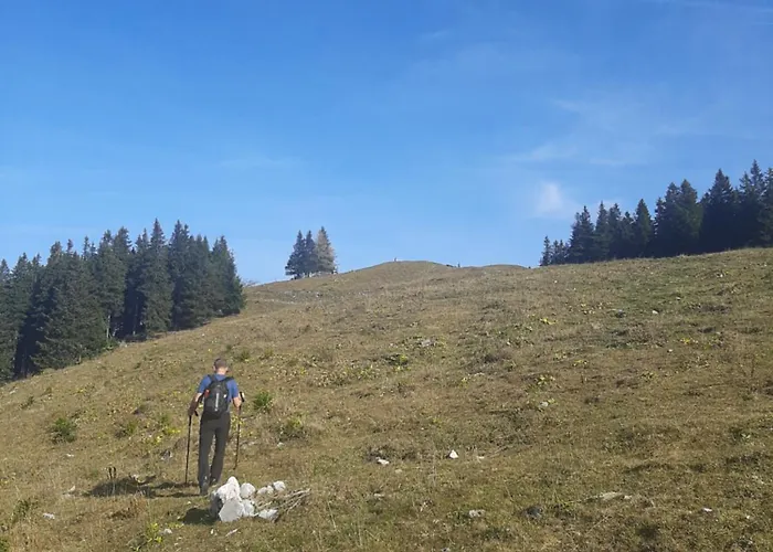 Golte Tibona Mozirje