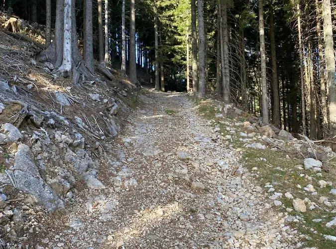 Golte Tibona Lejlighed Mozirje